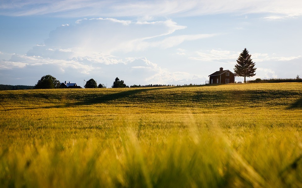 Conheça três benefícios de ter uma casa no campo